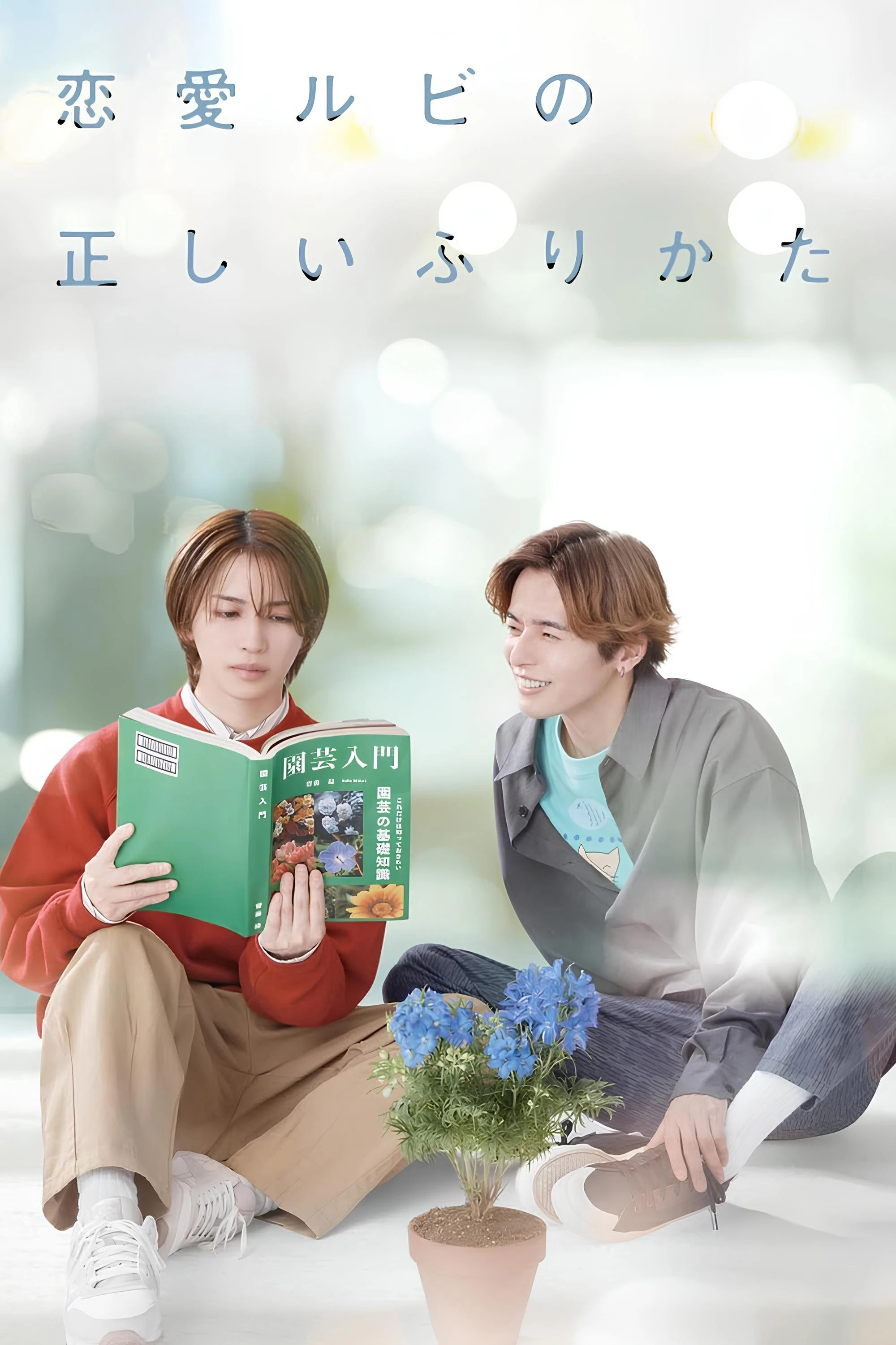 Cách Viết Tình Yêu Đúng Cách | The Proper Way to Write Love (2025)