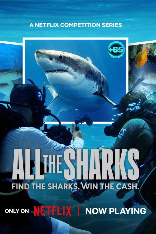 Đi Tìm Cá Mập | All The Sharks (2025) Đi Tìm Cá Mập | All The Sharks (2025)