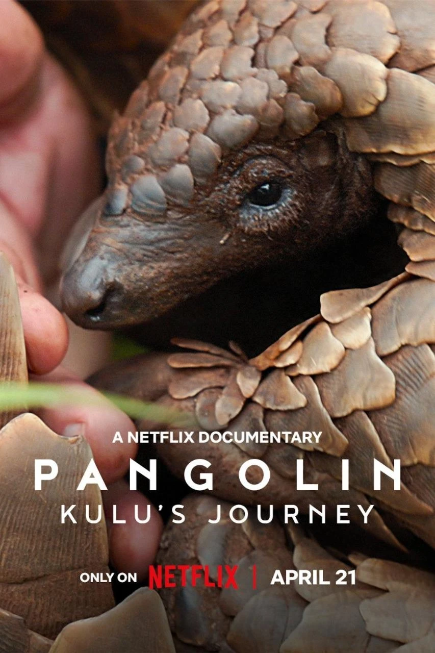 Loài Tê Tê: Hành Trình Của Kulu | Pangolin: Kulu's Journey (2025) Loài Tê Tê: Hành Trình Của Kulu | Pangolin: Kulu's Journey (2025)